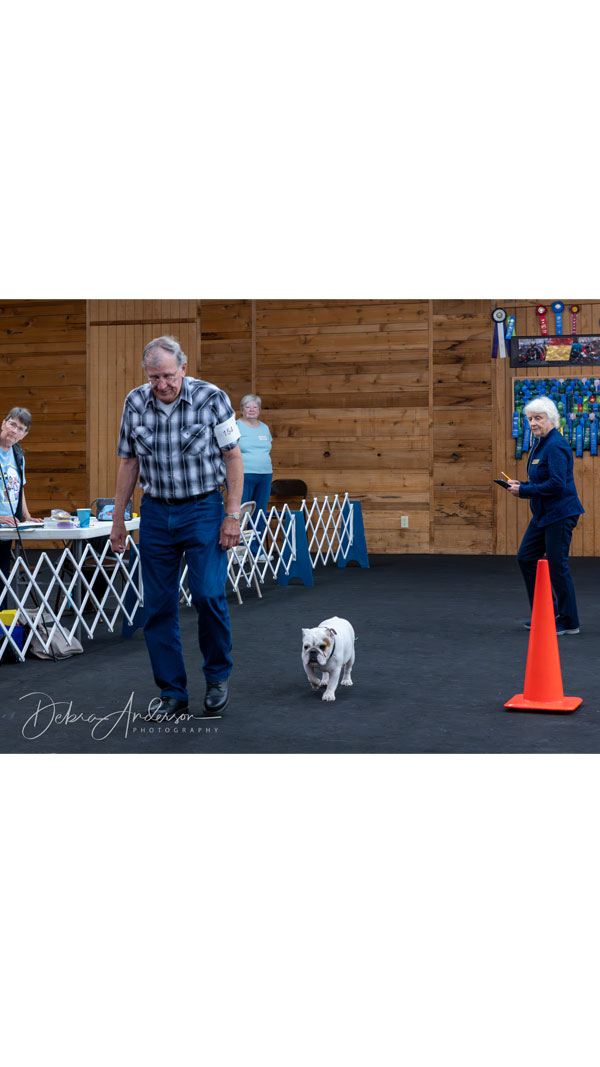 All-Breed-Obedience-and-Rally-Trials-2024-pic19