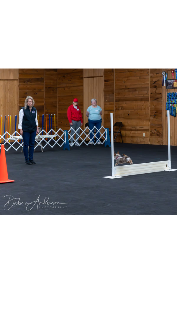 All-Breed-Obedience-and-Rally-Trials-2024-pic27