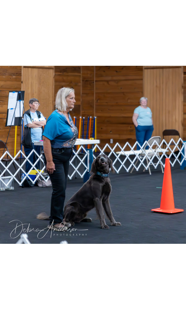 All-Breed-Obedience-and-Rally-Trials-2024-pic32