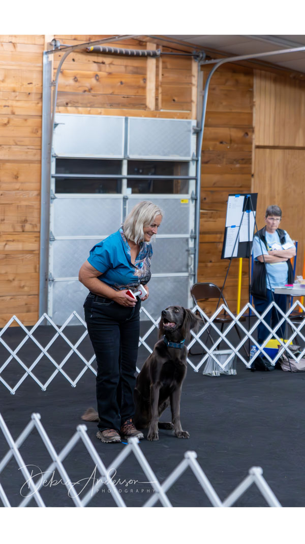 All-Breed-Obedience-and-Rally-Trials-2024-pic34